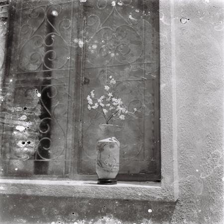 SAVE_20250905_061854