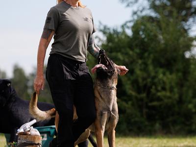 Dog Trial July 2025