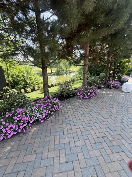 Flowers stone house