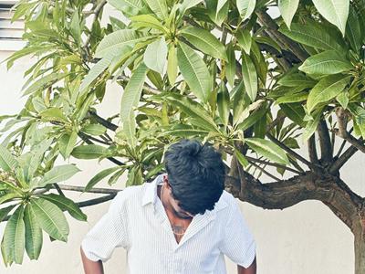 a man standing next to a palm tree
