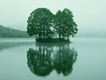 8527_8527