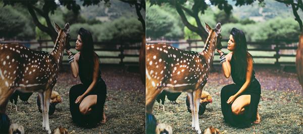 color_correction_lady_with_deer