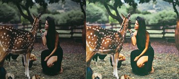 color_correction_lady_with_deer