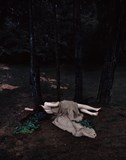 Bed of Pain