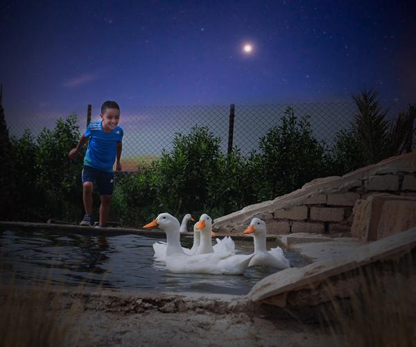 IMG_25012021_005631_(6000_x_5000_pixel)