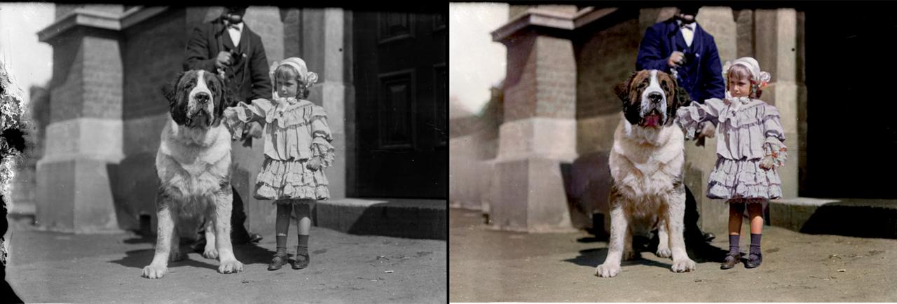 A Small Girl With Her Large Dog