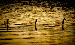 IMG_9559