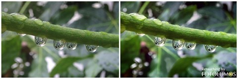 Sheltered Raindrops