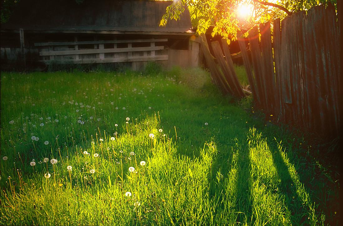 Farm yard