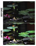 EXPOSURE ADJUSTMENT PORTFOLIO