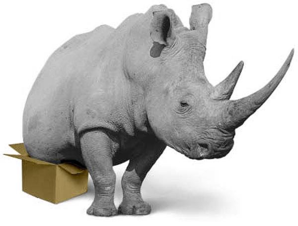 Rhino in a Box