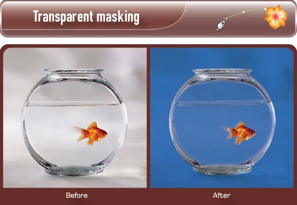 Transparent Masking