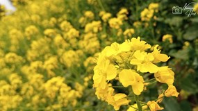 IMG_20210624_102445_347