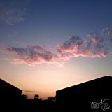 IMG_20210712_190239_597