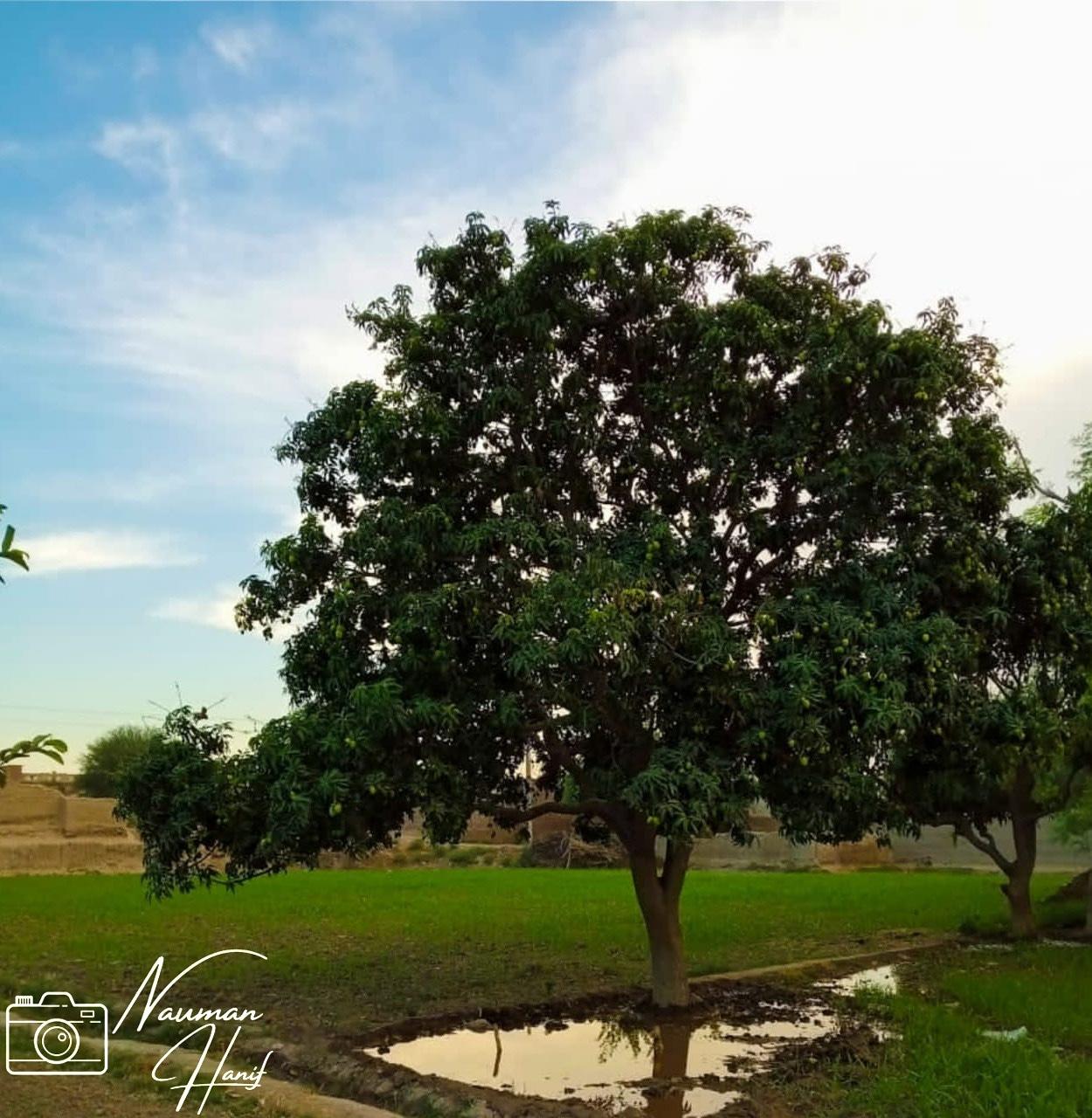 IMG_20210517_220032_102