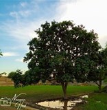 IMG_20210517_220032_102