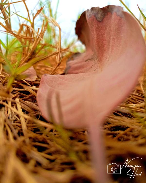 IMG_20210601_143155_406