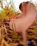 IMG_20210601_143155_406