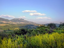 Photo 29  Landscape 7