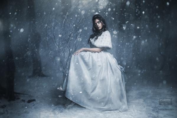winter Princess 2