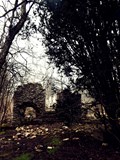 wandering_and_wondering_by_decapitationmeatsho-d5zknoc