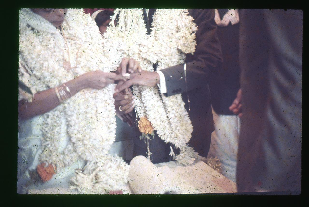 Abi Scan (hi res)012_result_result