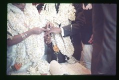 Abi Scan (hi res)012_result_result