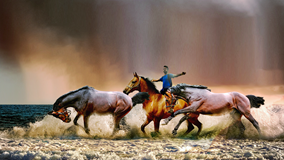 horse