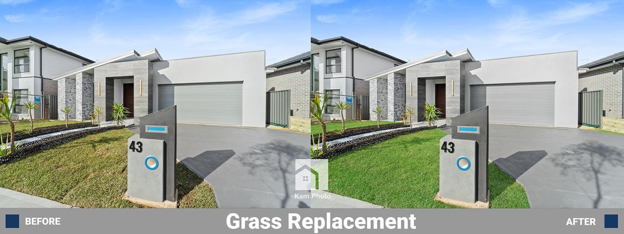 Grass Replacement