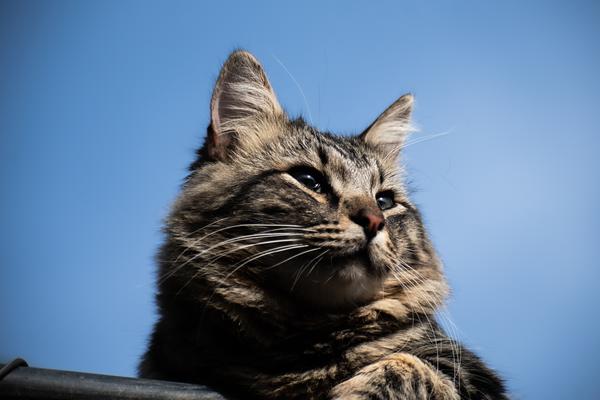 DSC_5060