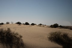 _MG_4120