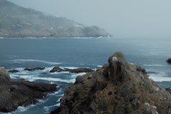 _MG_4981