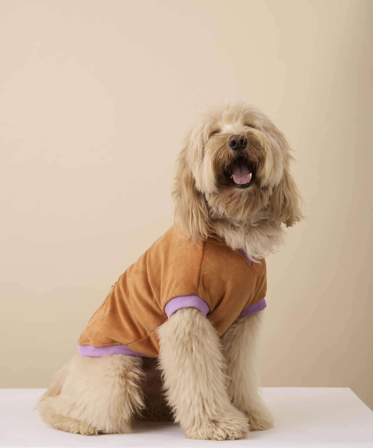 S13-Ochre Towel Hoodie Large-26490-Drool-0773