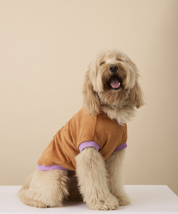 S13-Ochre Towel Hoodie Large-26490-Drool-0773