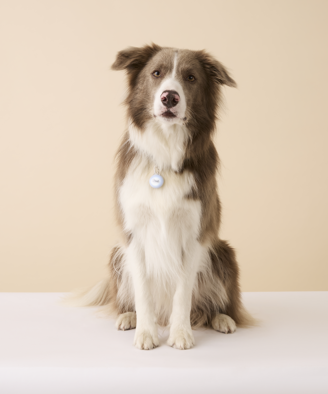 S7-Collar Light-26490-Drool-1643
