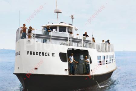 Prudence2