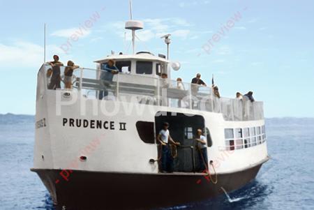 Prudence2